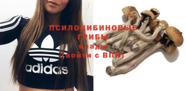 дмт Кулебаки