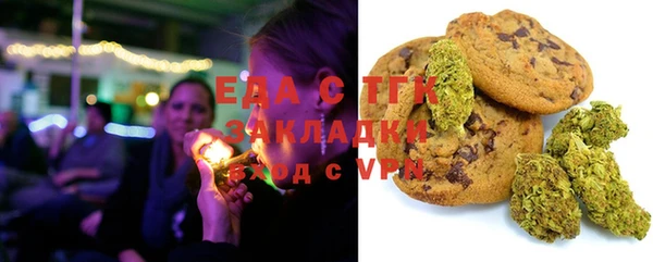 ГАЛЛЮЦИНОГЕННЫЕ ГРИБЫ Лагань