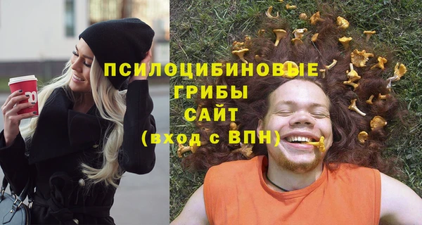 дмт Кулебаки
