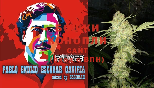 ECSTASY Кукмор