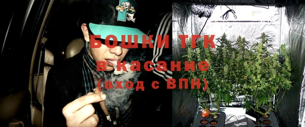 сатива Куйбышев