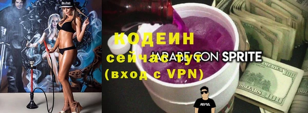 ГАЛЛЮЦИНОГЕННЫЕ ГРИБЫ Лагань