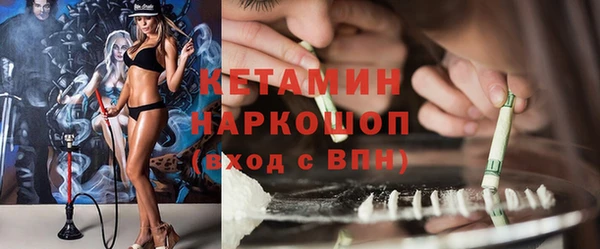 сатива Куйбышев